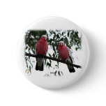 Galahs 9Y517D-004 buttons