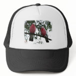 Galahs 9Y517D-004 hats