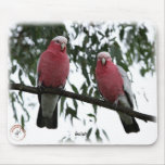 Galahs 9Y517D-004 mousepads
