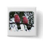 Galahs 9Y517D-018 buttons