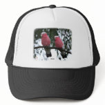 Galahs 9Y517D-018 hats