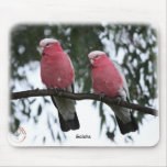 Galahs 9Y517D-018 mousepads