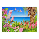 Galahs cards