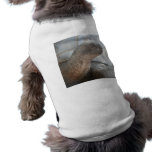 Galápagos giant tortoise photograph pet clothing