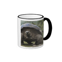 Galapagos Giant Tortoises Geochelone Coffee Mug