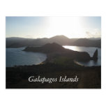 Galapagos Islands Postcard