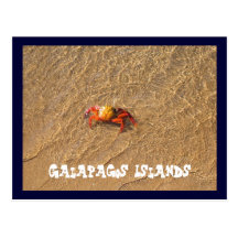 Galapagos Islands Postcard