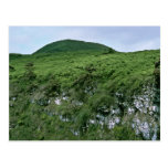 Galapagos Islands Postcard