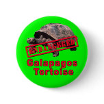 Galapagos Tortoise  Endangered Art Tshirts buttons