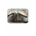 Galapagos Tortoise T-Shirt