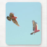 galas8 mousepads