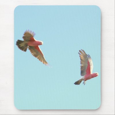 galas8 mouse pads by brianlart