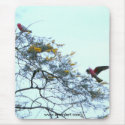 galas 10, www.brianlart.com mousepads