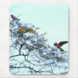 galas 10, www.brianlart.com mousepads