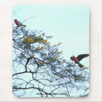 galas 10, www.brianlart.com mousemat by brianlart