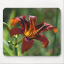Galaxy Explosion Mouse Mats