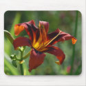 Galaxy Explosion mousepads