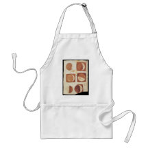 Galileo moon phases 1616 apron