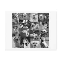 gallery of gorgous seniors postcard