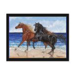 Gallop beach Arabian horse postcard