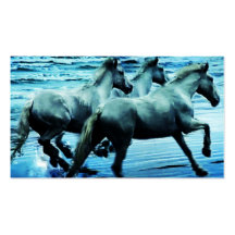 gallop business card