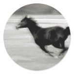 Galloping Arabian Horse Sticker