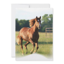Galloping Chestnut Invitation