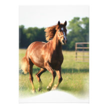 Galloping Chestnut Invitation
