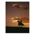 Galloping Cowboy Silhouette Postcards