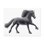 Galloping Friesian Horse Pocket Calendar postcards