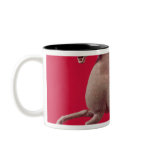 Galloping horse with one Hoof Resting on a mugs