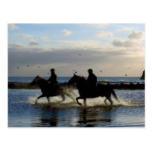 Galloping Horses Postcards