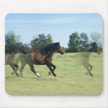 Galloping Mustangs Mouse Pad