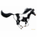 Galloping Paint Horse Holiday Ornament photo sculptures