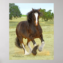 Galloping Shire Posters