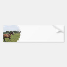 Galloping Thoroughbred  Bumper Sticker