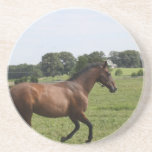 Galloping Thoroughbred  Plate Coasters