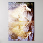 Galloping White Water Horse Poster