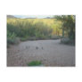 Gamble Quail in the Sonoran Desert Postcards