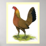 Game Hen:  Pea-combed Print