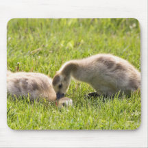 Game Over Mouse Pads