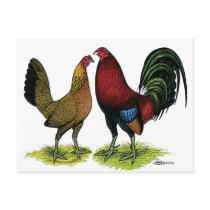 Gamefowl Pair Post Cards