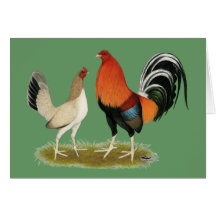 Gamefowl Wheatens Greeting Cards