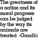 Gandhi & Humane Treatment of Animals Polo Shirt