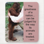 Gandhi Quote: Animals mousepads