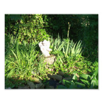 Garden Angel 2 Photo
