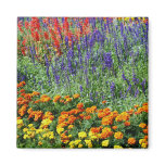 Garden Beauty Flower Photography Magnet