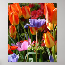 Garden Beauty Posters