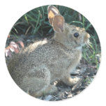 Garden Bunny stickers