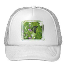 Garden Butterfly Baseball Hat
